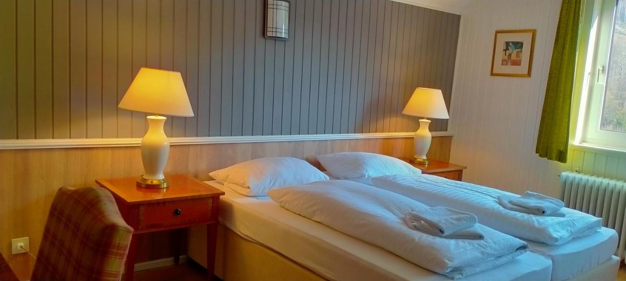 Hotel Waldhaus Im Okertal Goslar Esterno foto