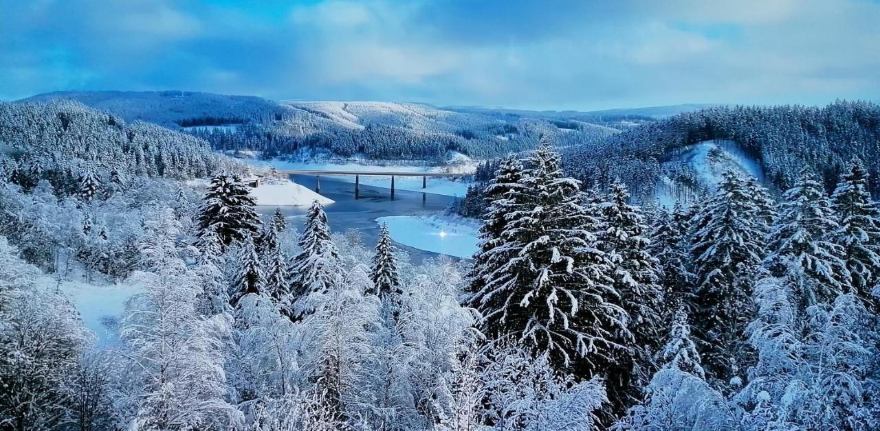 Hotel Waldhaus Im Okertal Goslar Esterno foto