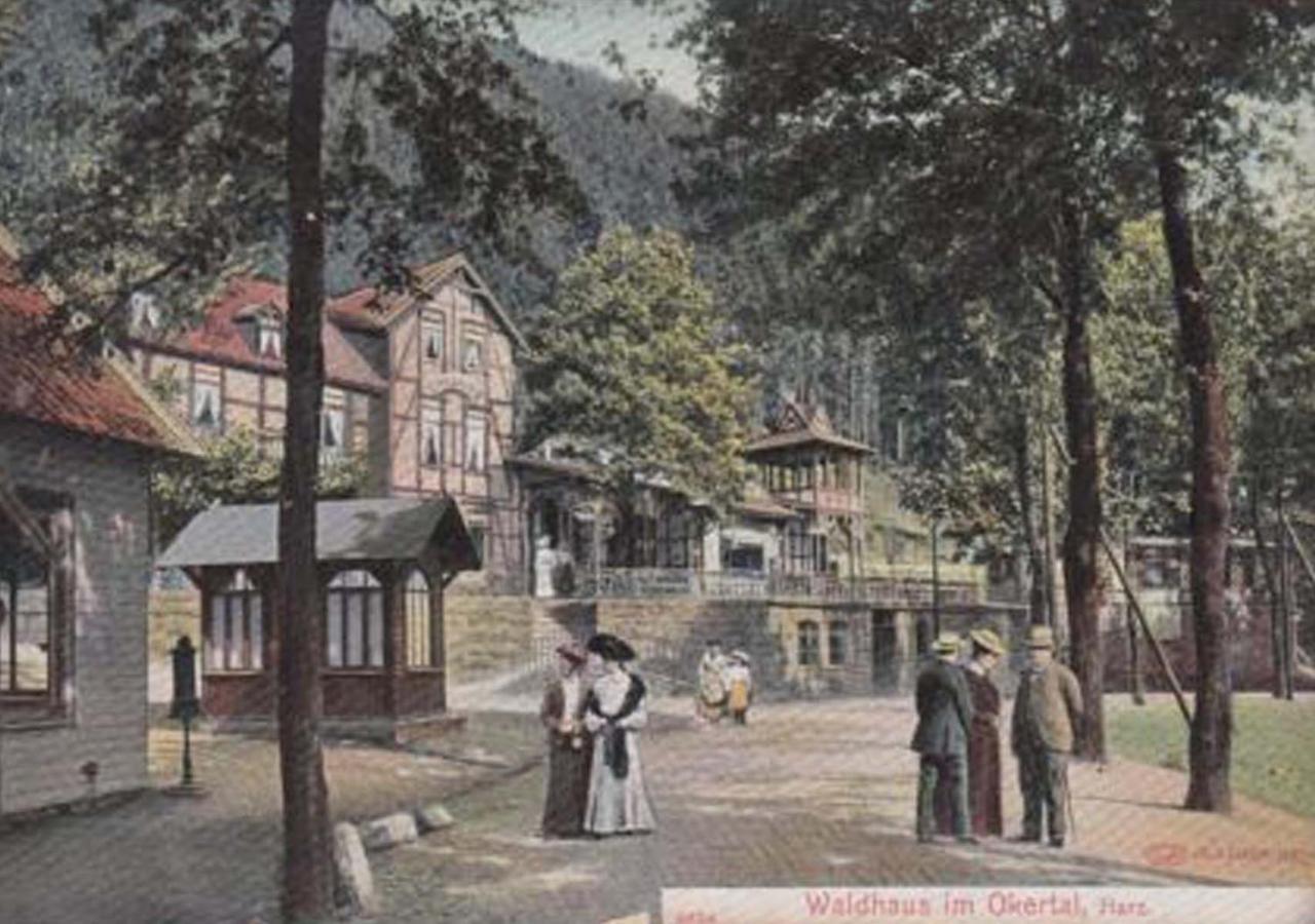 Hotel Waldhaus Im Okertal Goslar Esterno foto