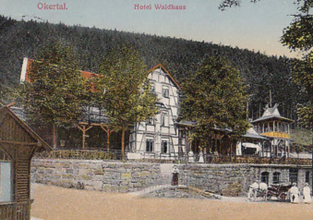 Hotel Waldhaus Im Okertal Goslar Esterno foto